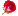 hoa hồng (hoa hồng)